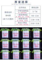 PE self-sealing bag - Image 10